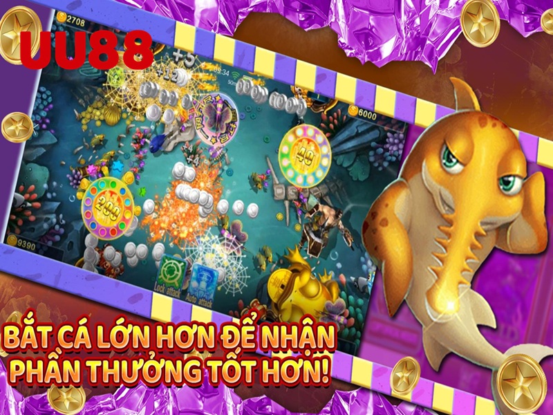 bắt cá lớn hơn để nhận phần thưởng tốt hơn
